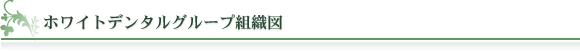 ホワイトデンタルグループ組織図
