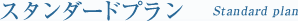 �X�^���_�[�h�v����